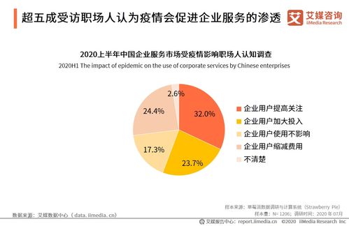 艾媒咨詢2020上半年中國企業(yè)服務發(fā)展全景報告 信息咨詢服務成為增長引擎
