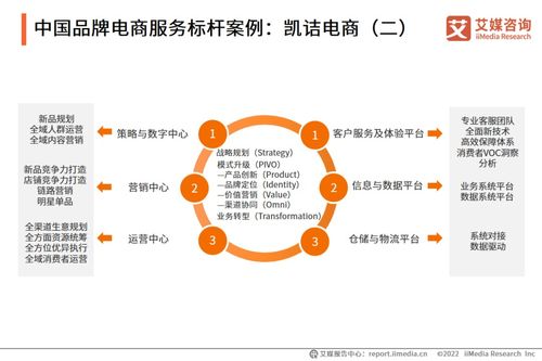 2022年中國品牌電商服務行業(yè)研究報告 信息咨詢服務深度解析